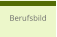 Berufsbild